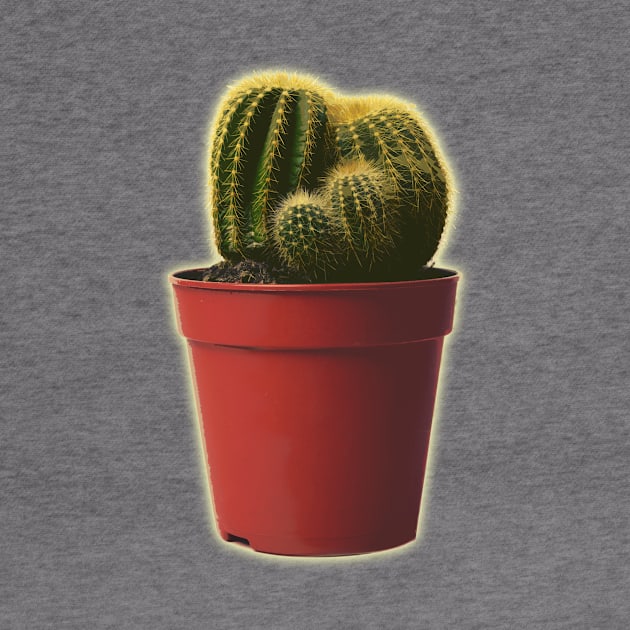 Pocket Potted Cactus by charlescheshire